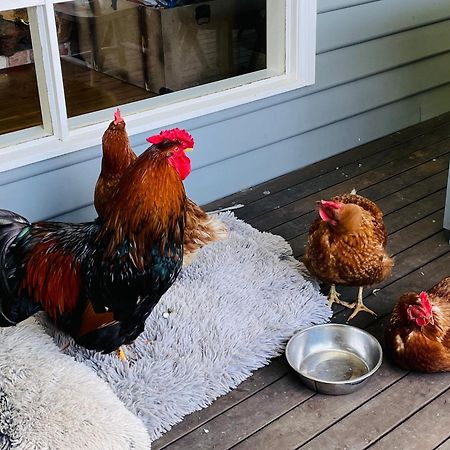 Farm Stay Maple Cottage At Wilindi Estate Tyabb Eksteriør billede