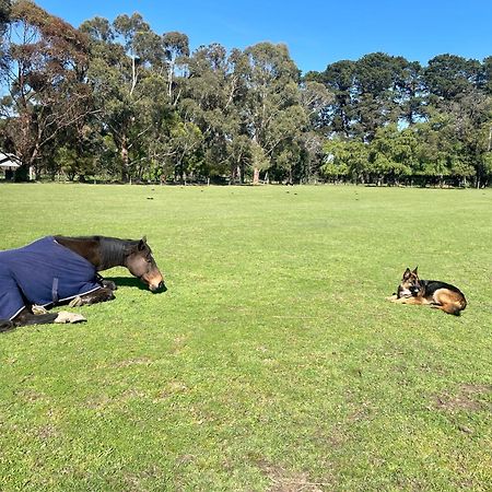 Farm Stay Maple Cottage At Wilindi Estate Tyabb Eksteriør billede