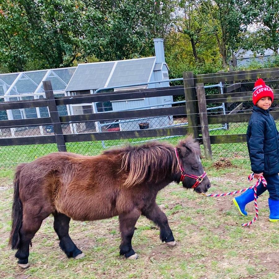Farm Stay Maple Cottage At Wilindi Estate Tyabb Eksteriør billede